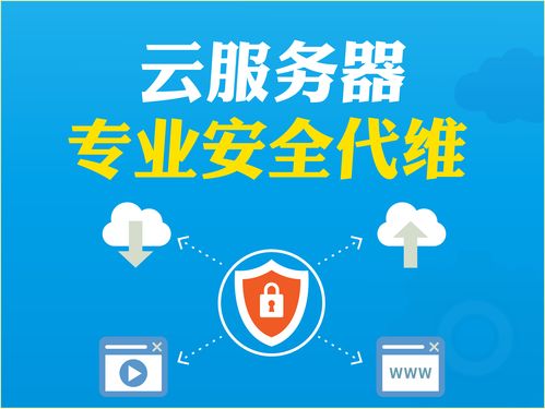 阿里云云市场 云服务器代维与数字文化创意内容应用服务